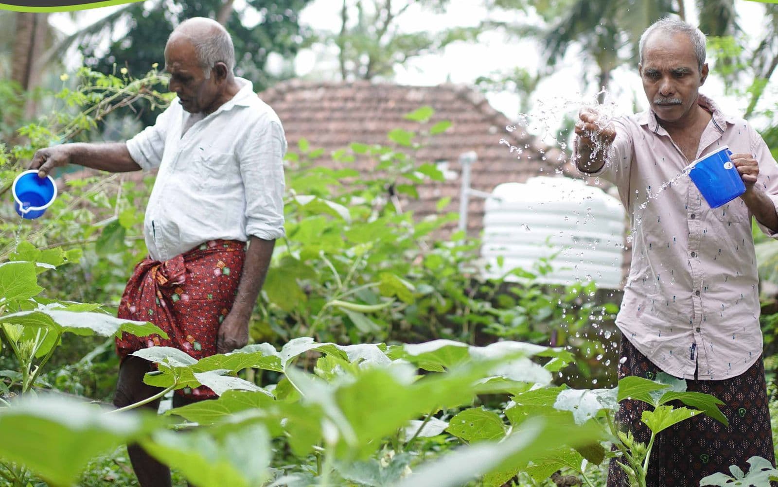 Residents of a Thanal home watering their vegetable garden